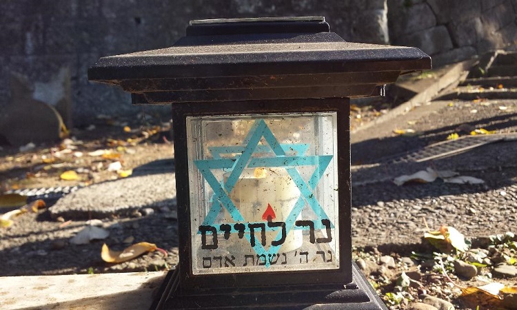 Discover the beauty of Yokohama and the Yokohama Foreign General Cemetery