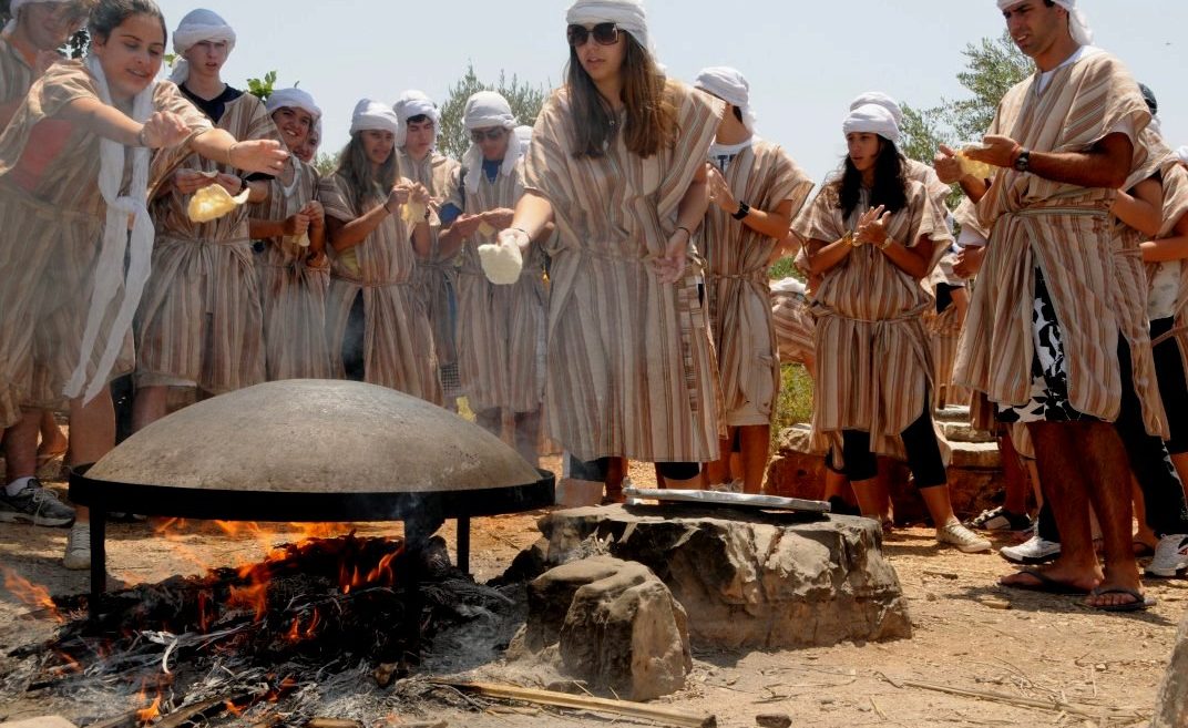 6 fabulous museums to experience history first hand