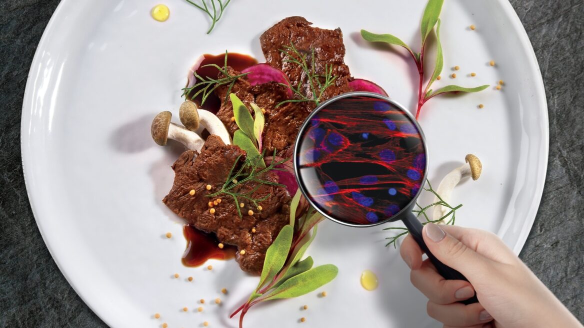 5 Israeli cultivated meat startups taking off because of corona